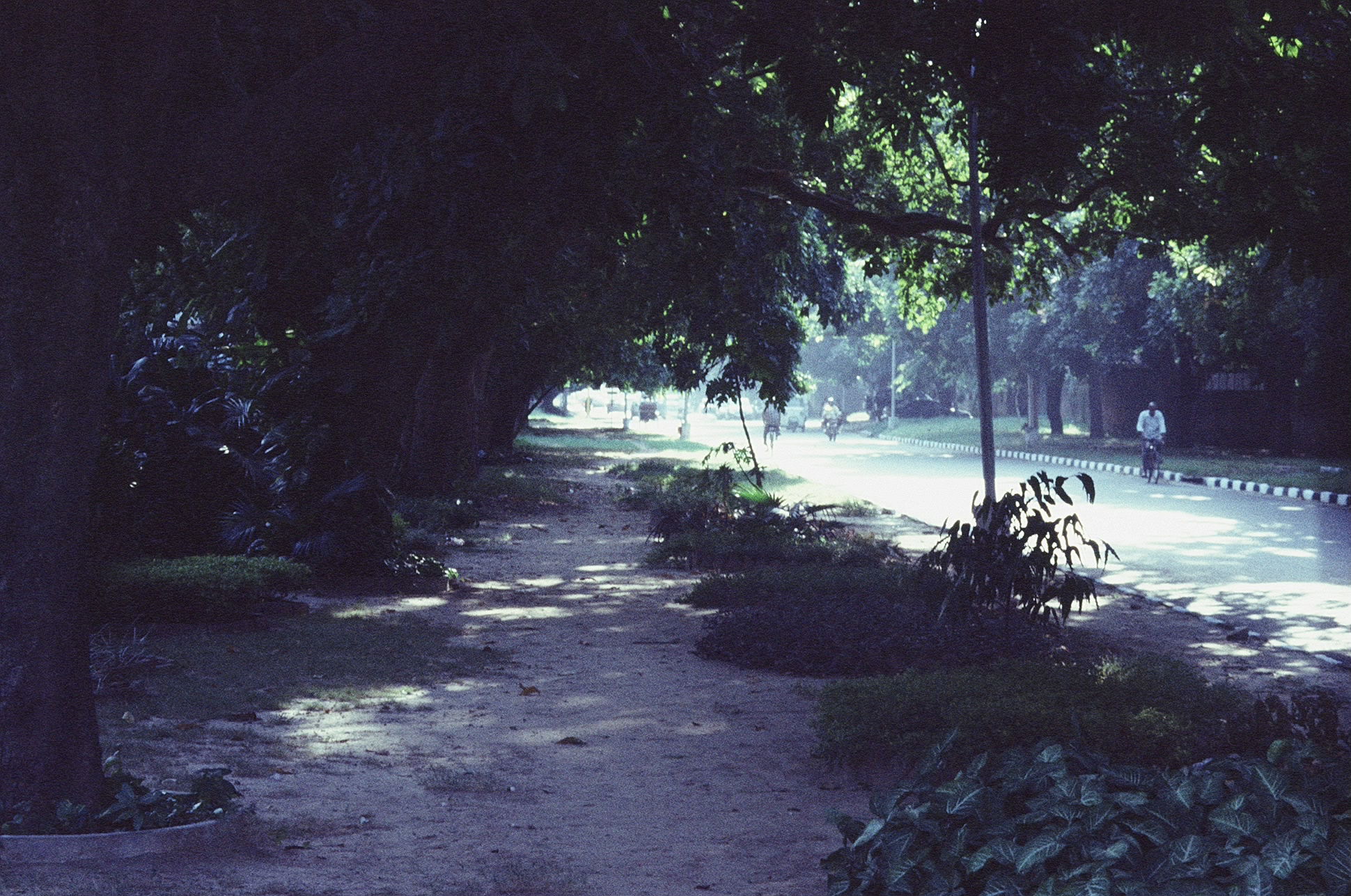 Las Avenidas de Chandigarh, por Francisca 