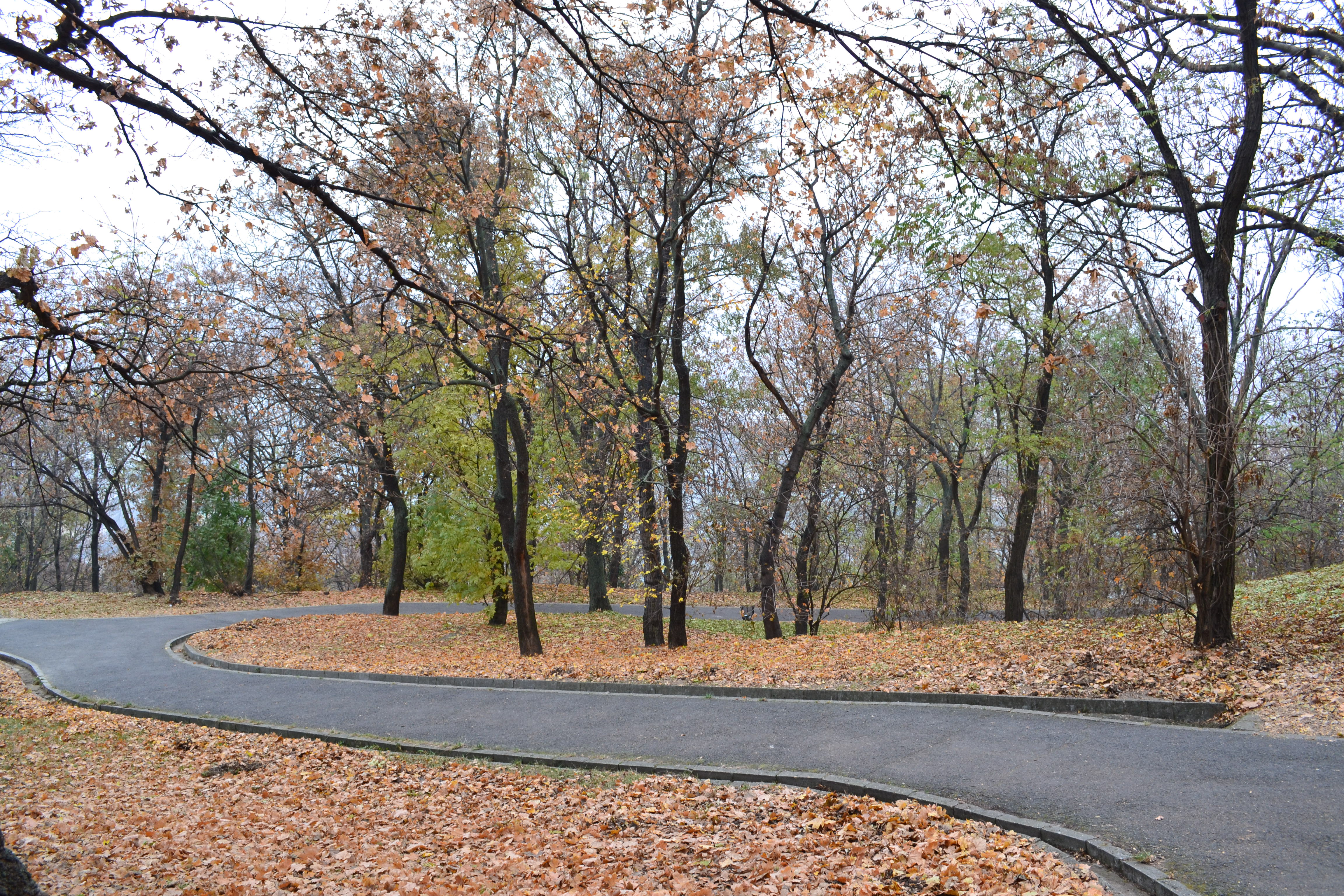 Parque Jubileumi, por Alessandra Consonni