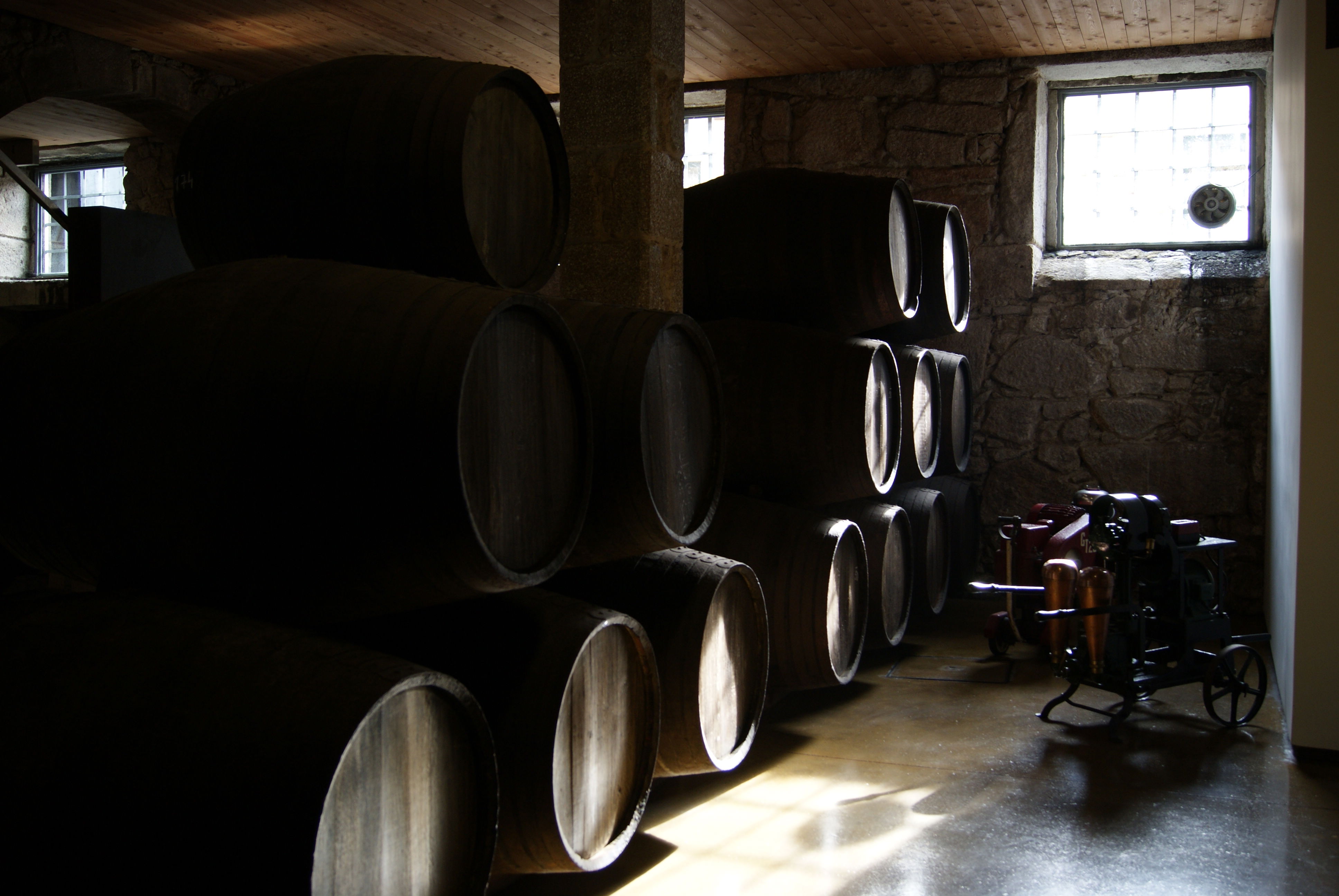 Bodegas Vasconcellos, por Milena Pasetti