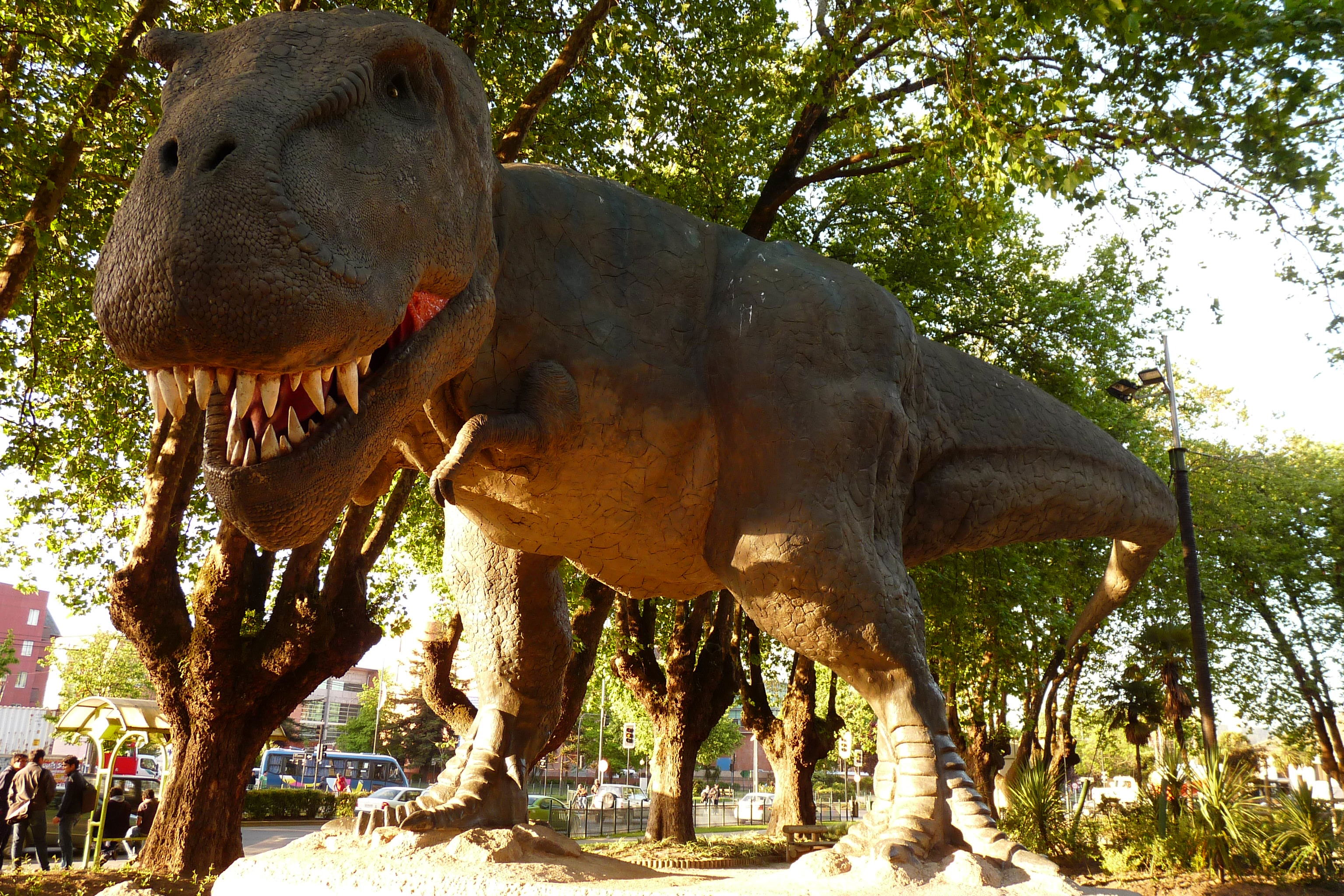 Plaza Acevedo (Museo de Historia Natural de Concepción), por Pablo Olivera 
