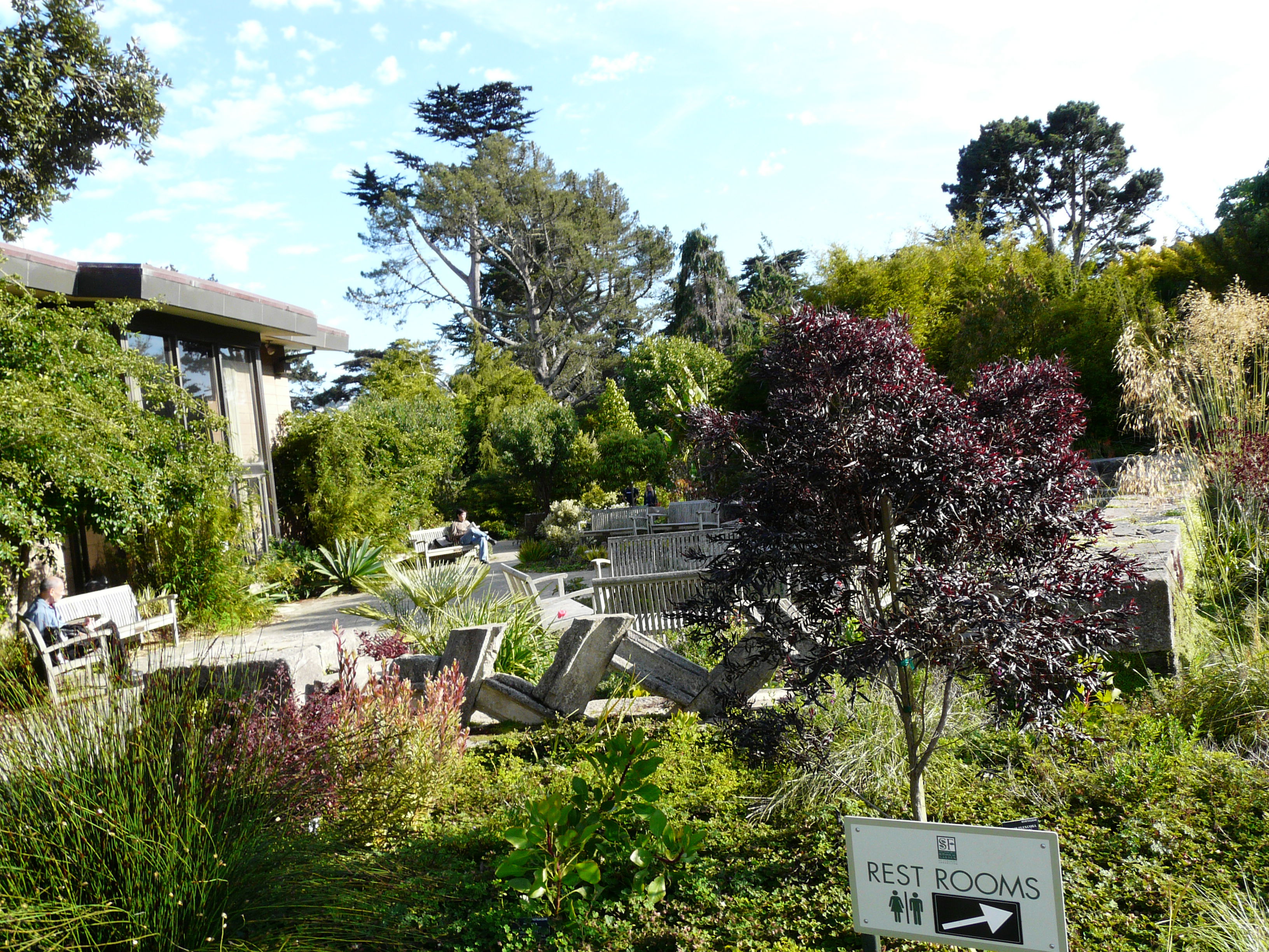 Jardín Botánico de San Francisco, por Pedro Jareño