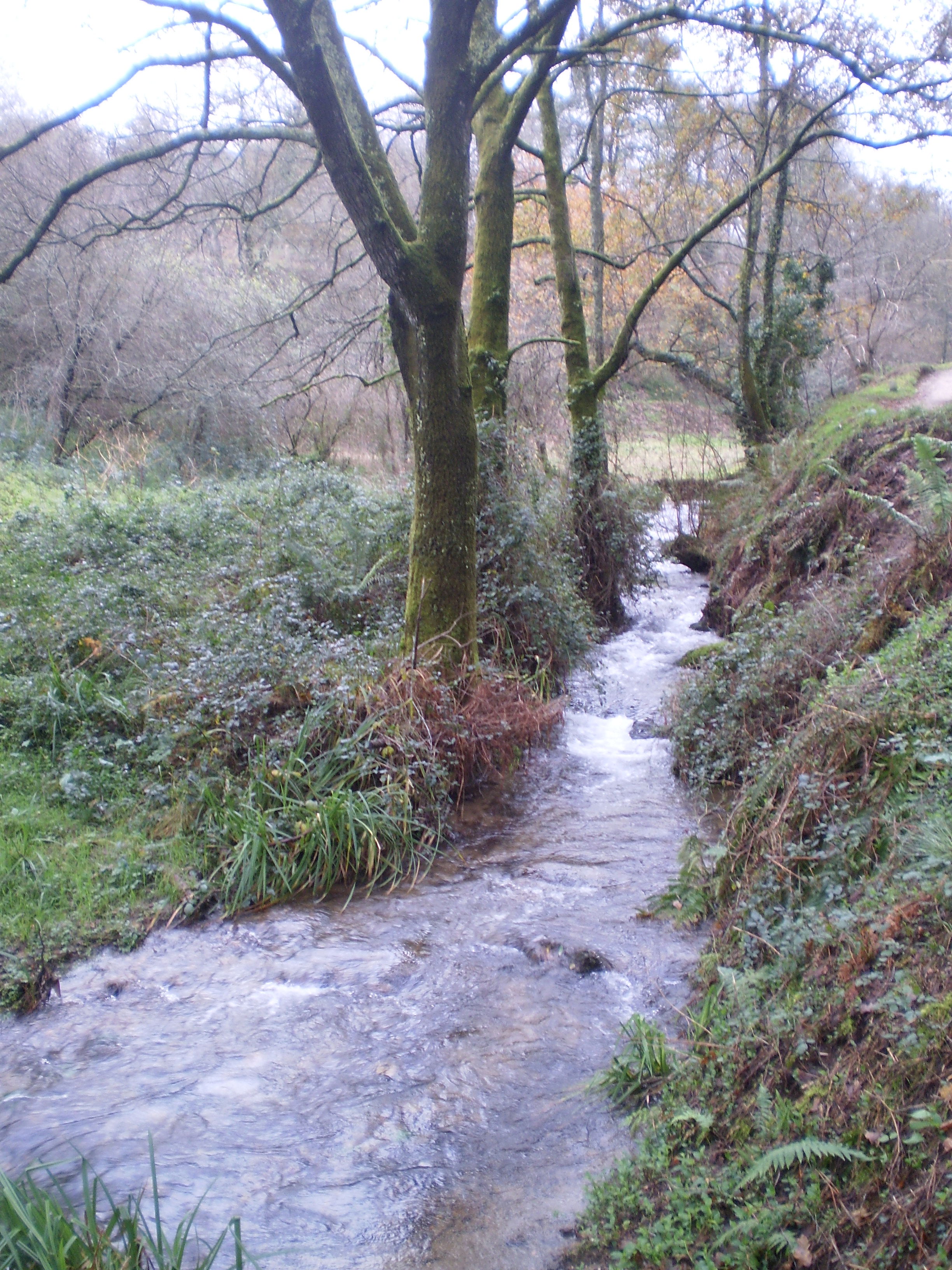 A Xunqueira do Lagares, por Sasa72
