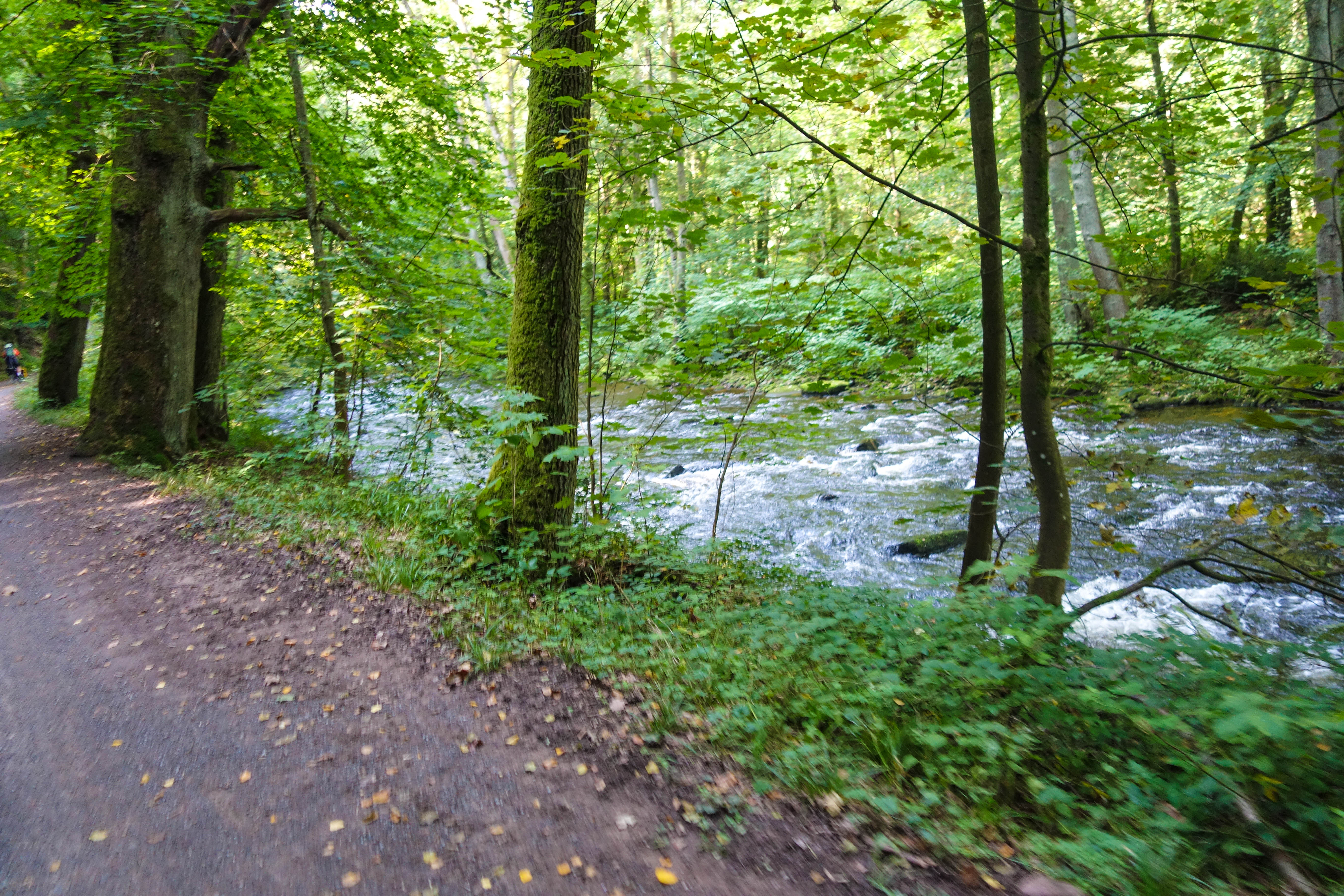 Paseo en bicicleta por el Rio Enz, por Diana Patricia Montemayor Flores