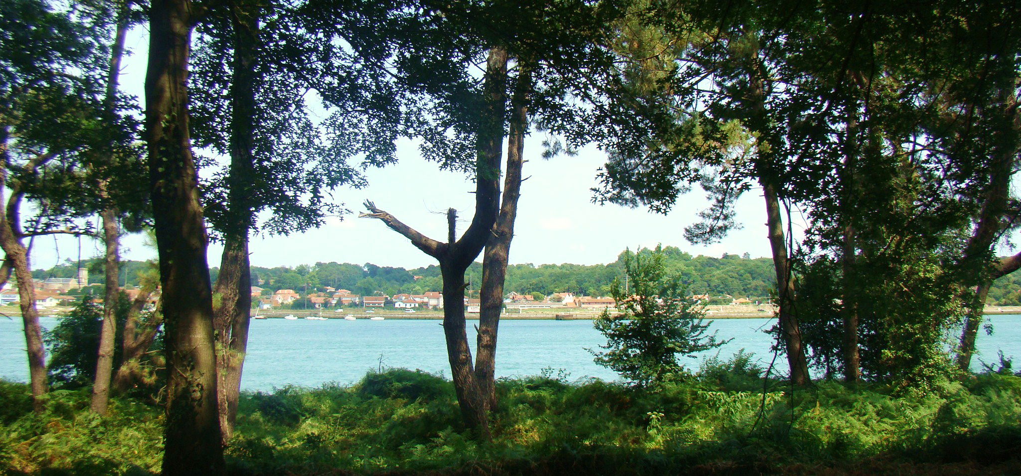 Bosque de Lazaret, por Alex et Gab