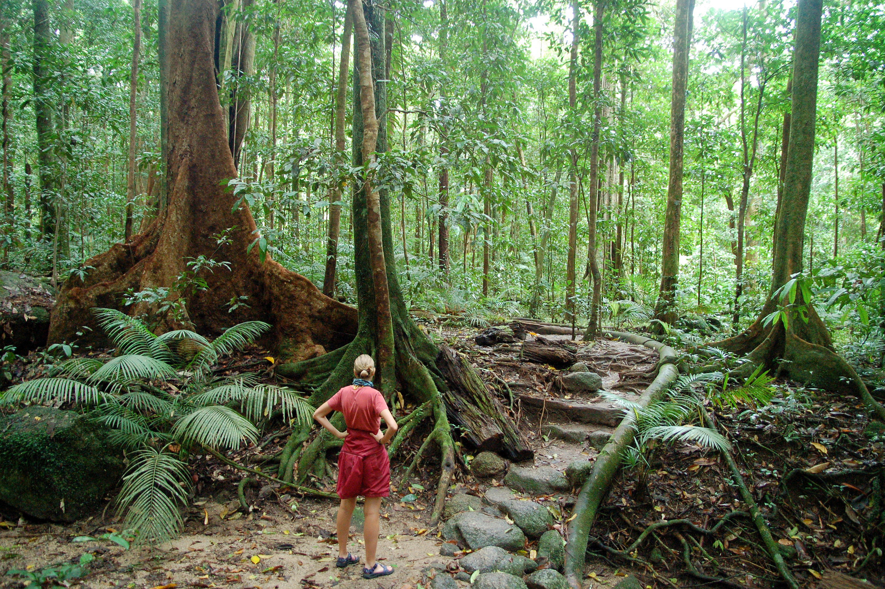 Daintree Eco Lodge & Spa, por naxos