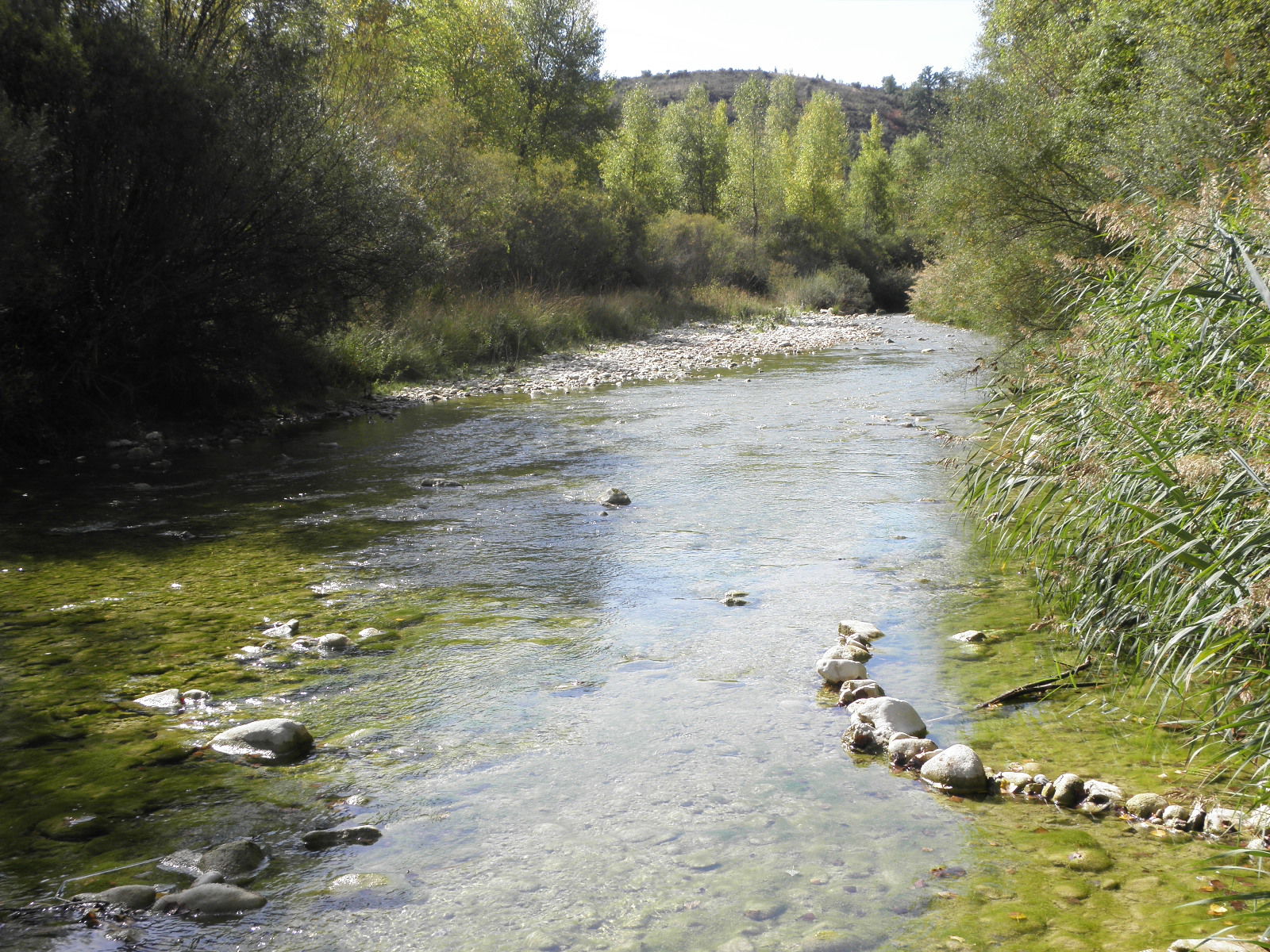 Río Vero, por Diogenesp