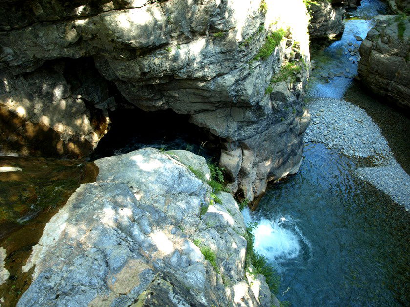 Selva plana ( 3º parte de la ruta a la Fuenblanca), por Anushka