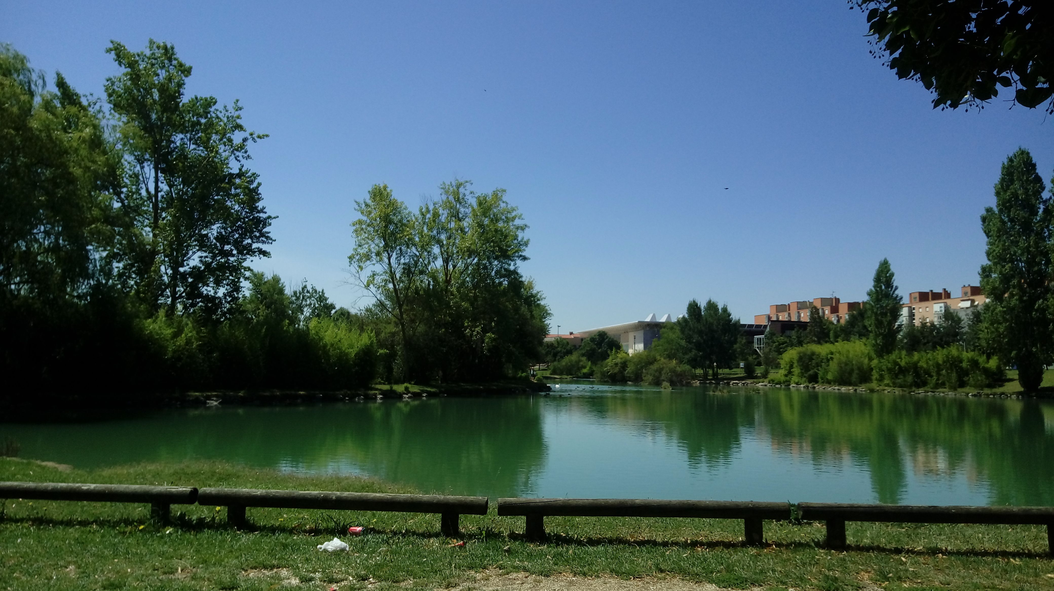 Lago Mendillorri, por Angelica Fernandez