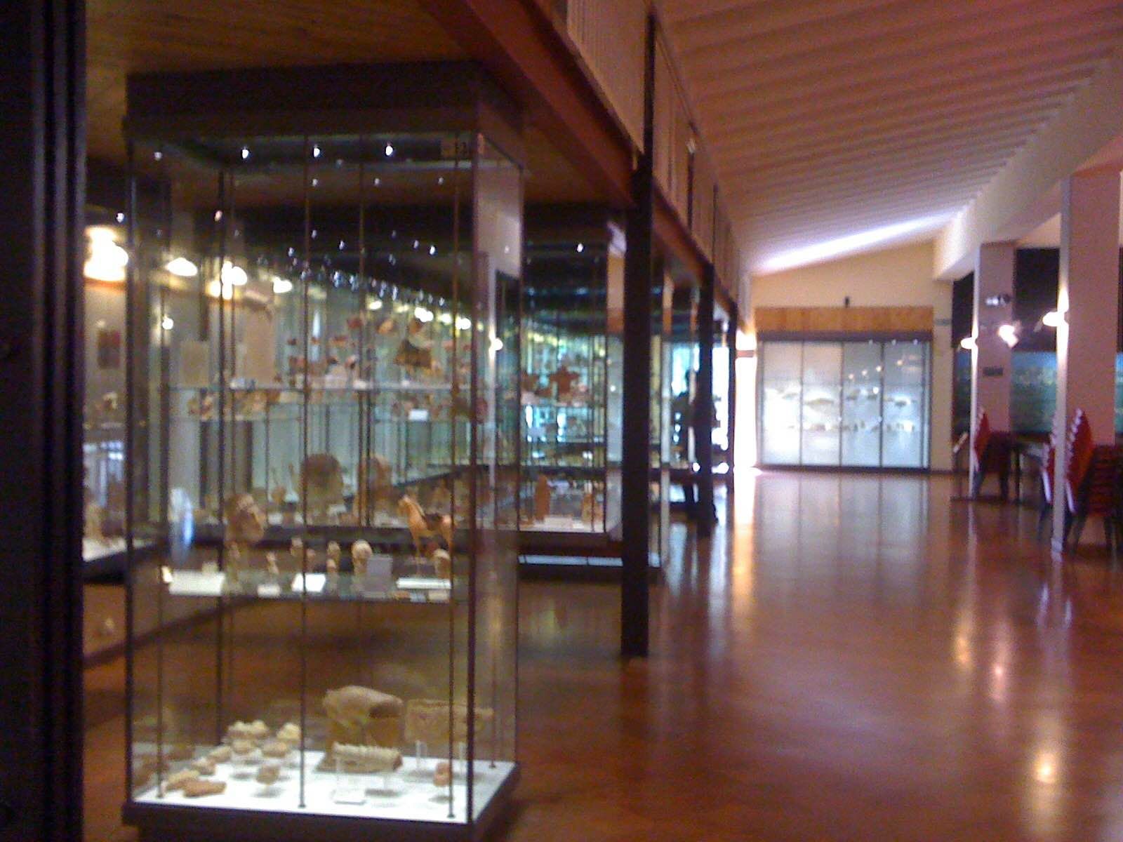 Museo Arqueológico Regional, por Anabella Capelli
