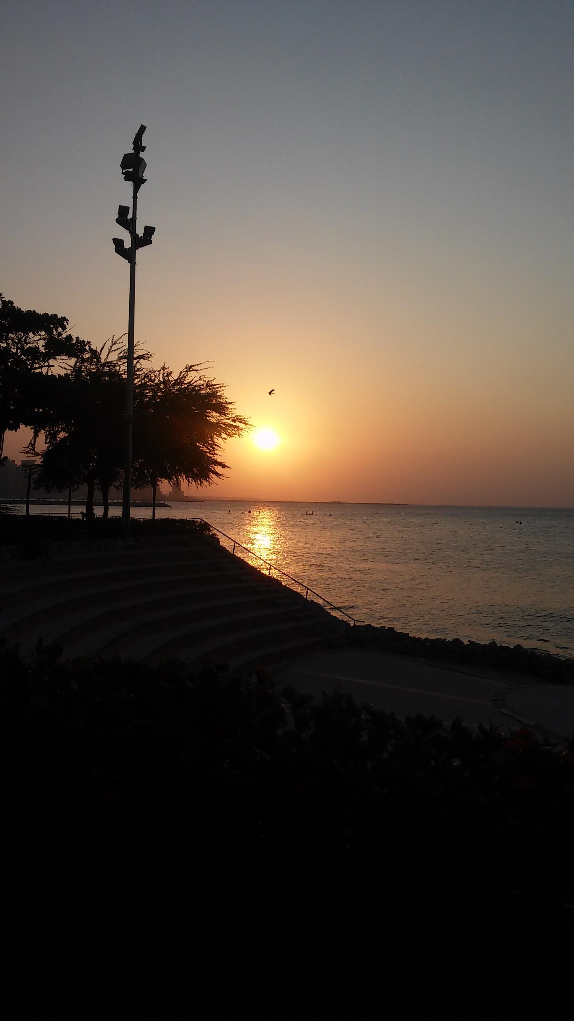 Avenida Beira Mar, por Larissa Lima
