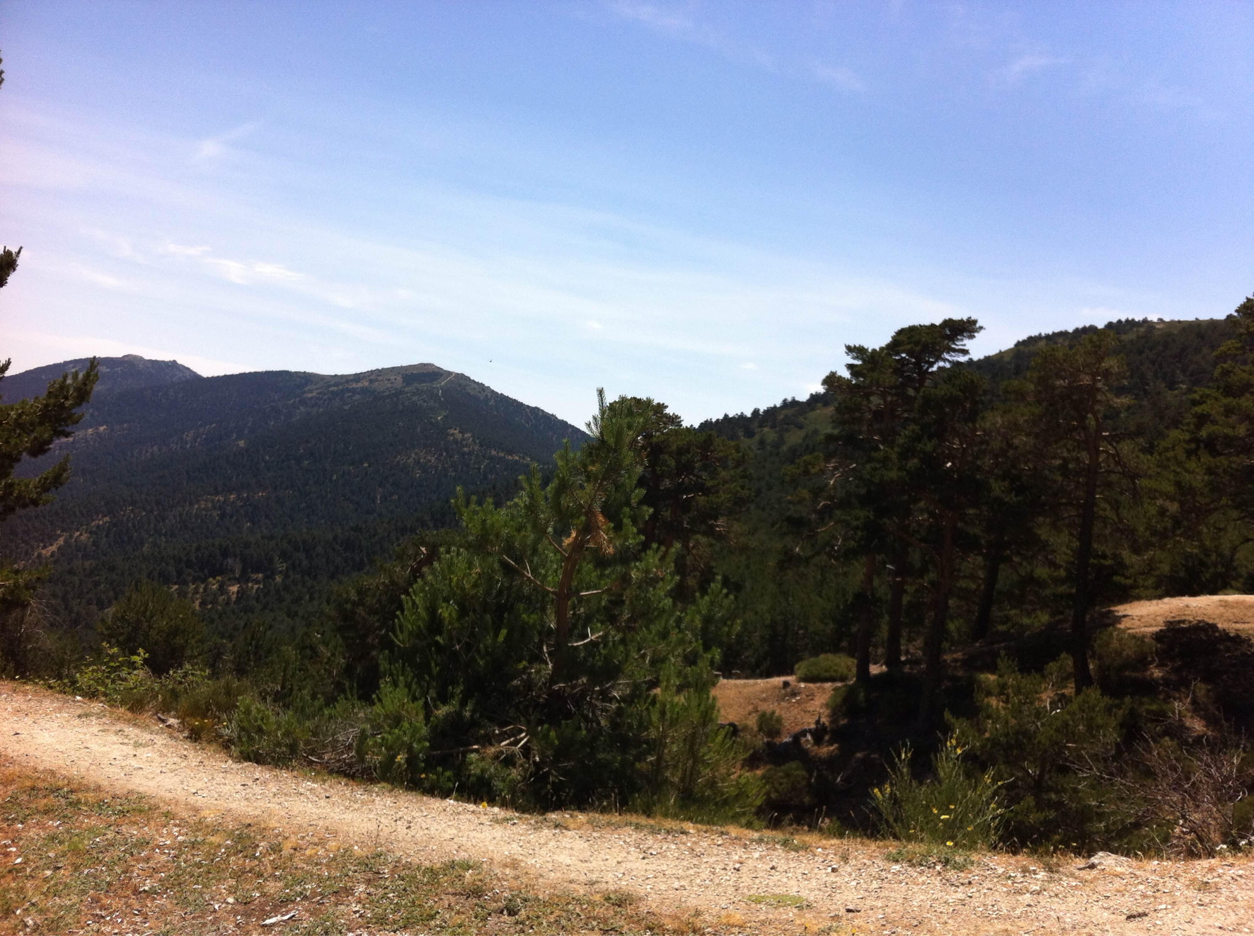 Valles en Madrid que deslumbran con su naturaleza y belleza