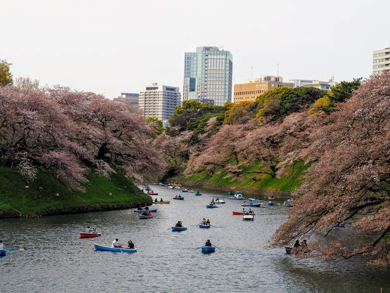 Chidorigafuchi - Paseo en barco, por Mireia Serra