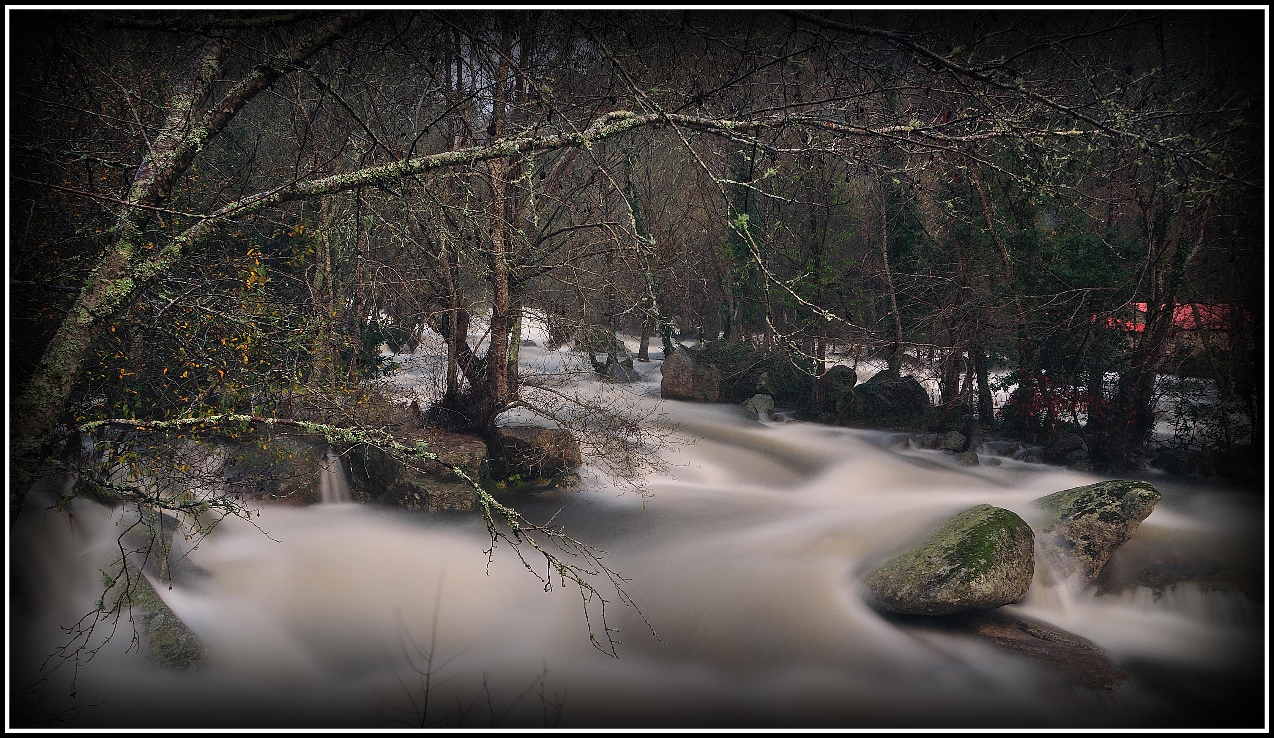 Ríos en Pontevedra: un viaje por aguas ocultas y paisajes vivos