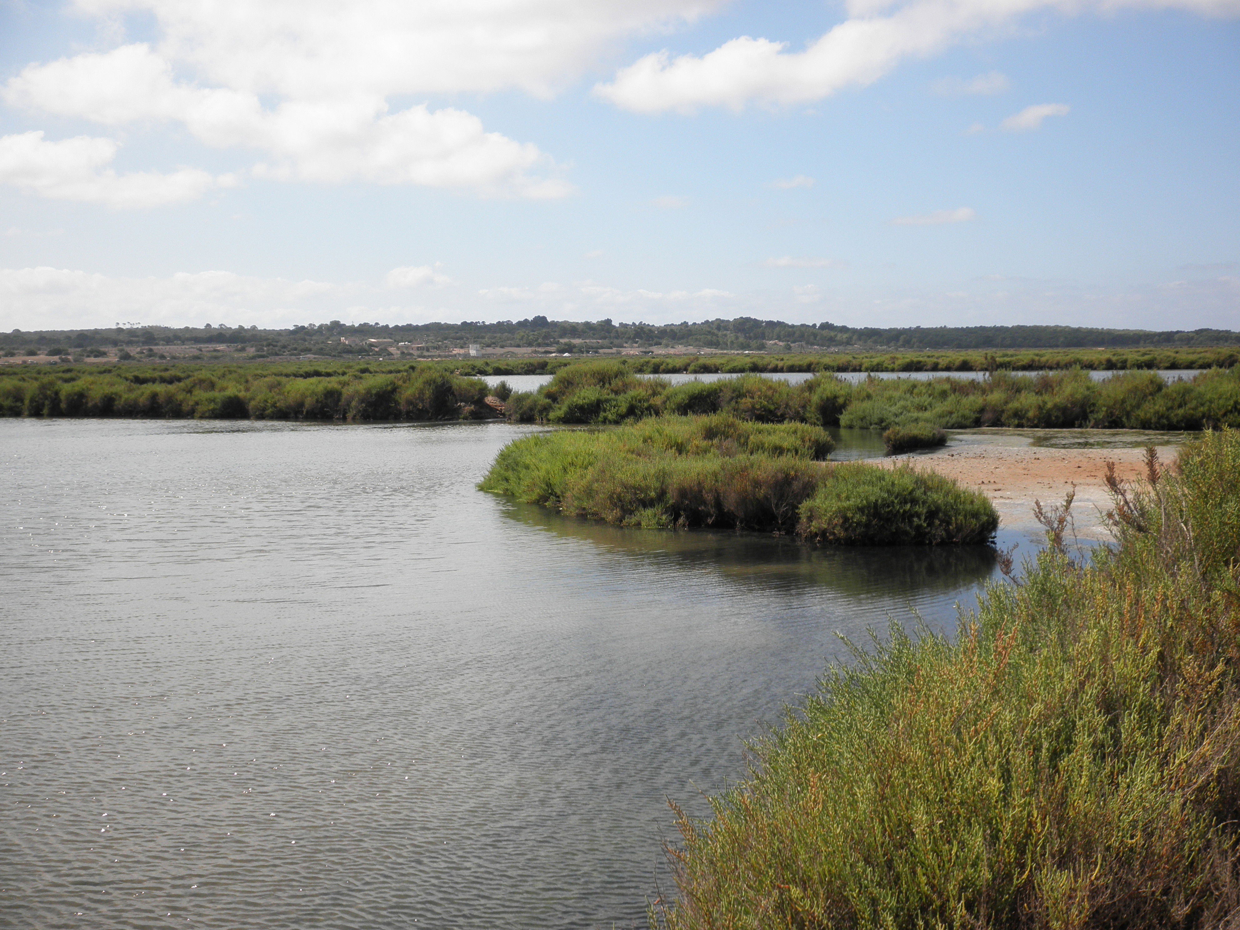 Salinas d'es Trenc, por juanjo queplus