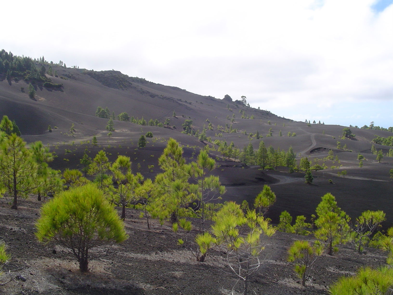 Sendero circular Montaña Quemada, por Estela Lull (Hatsue)