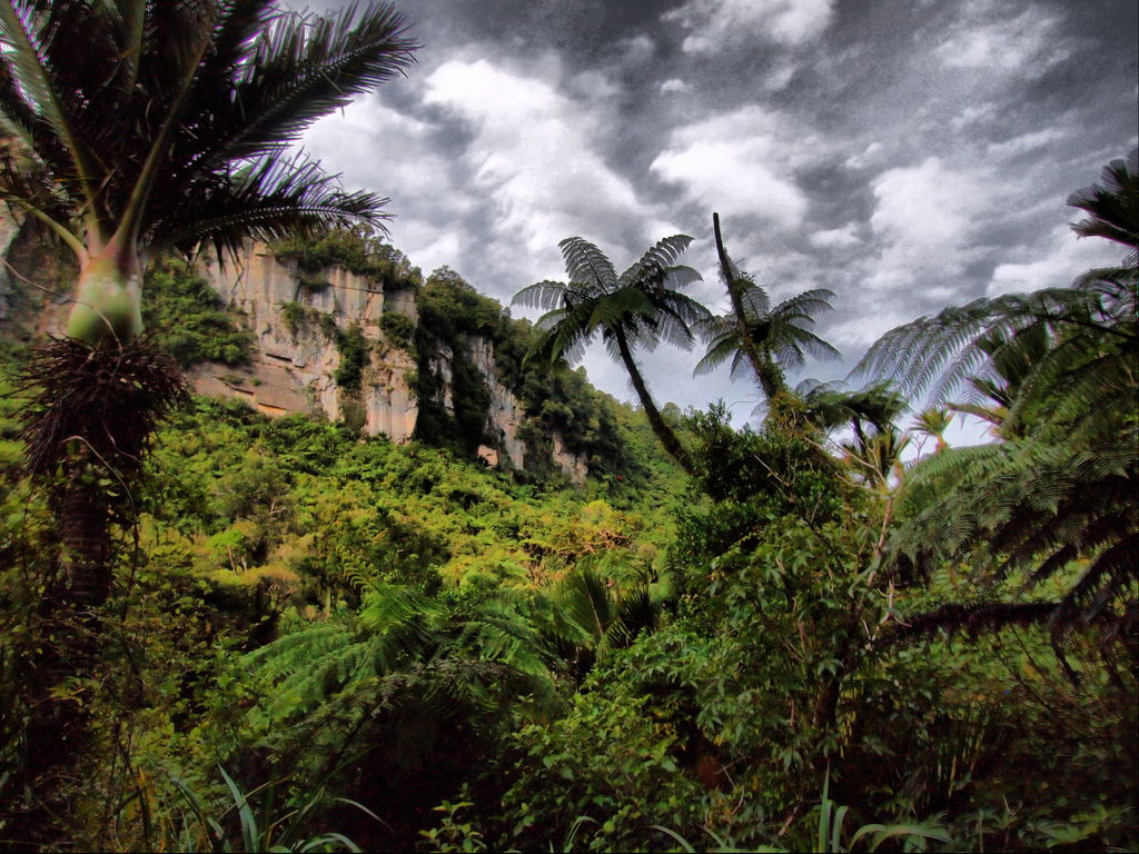 Pororari river track, por Carlos Olmo