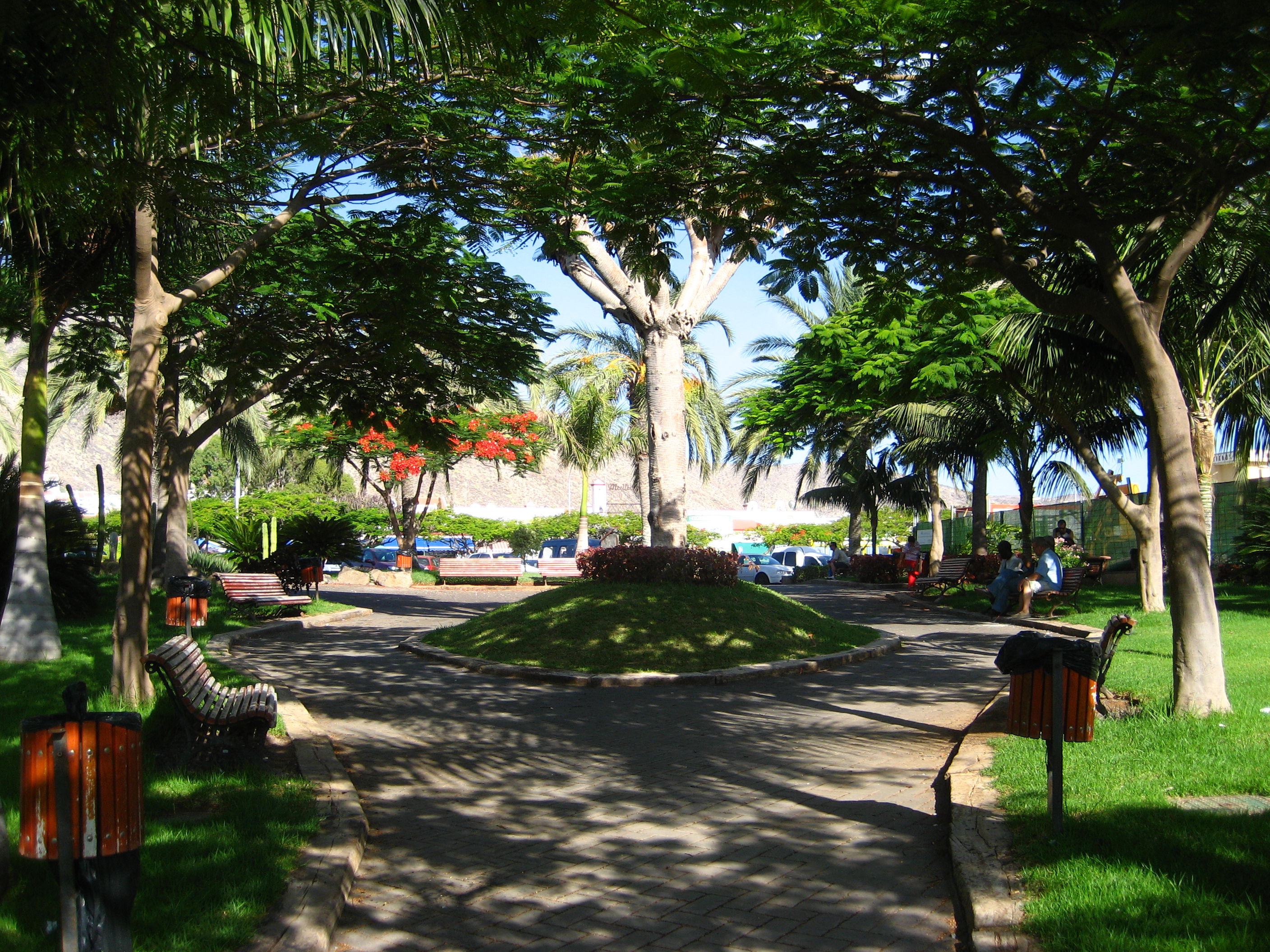 Los Cristianos, por guanche